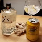 Gin-og-Tonic-med-Roku-Gin