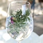 Hvilken tonic er best til gin