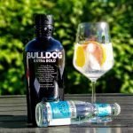 Bulldog Extra Bold Gin Mediterranean Grapefruktskall Tonic Grapefrukt Sitronskall GT