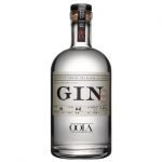 Hva passer til Oola Gin