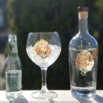 Gin og Tonic med Daffy’s Small Batch Premium Gin