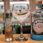 Gin og Tonic med Malfy Gin Originale