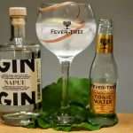 Gin - Tonic med Kyro Napue Gin