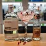 Gin og Tonic med Berliner Brandstifter Gin