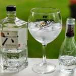 Gin og Tonic med Roku Gin og Pink Pepper