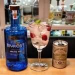 Gin Tonic med Bivrost Gin