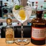 Gin og Tonic med Resept XVII Gin
