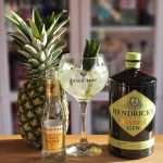 Gin og Tonic med Hendricks Amazonia Gin