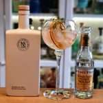 Gin og Tonic med Nordic Spirits Lab Gin