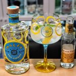 Gin og Tonic med Malfy Gin Con Limone