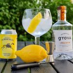 Gin Tonic med Brennevinsgrova London Dry Gin
