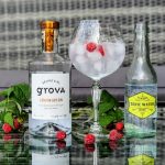 GT med Brennevinsgrova London Dry Gin