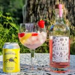 Gin og Tonic med Elsker Dry Pink Gin