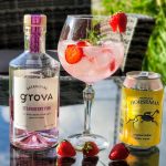 Gin og Tonic med Brennevinsgrova Strawberry Pink
