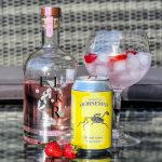 Gin og Tonic med Elsker Rosa Gin