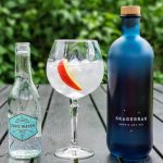 Gin og Tonic med Skagerrak Dry Gin