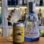 GT med Gin Mare