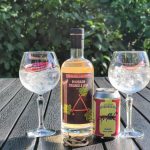 Gin og Tonic med Rhubarb Triangle Gin