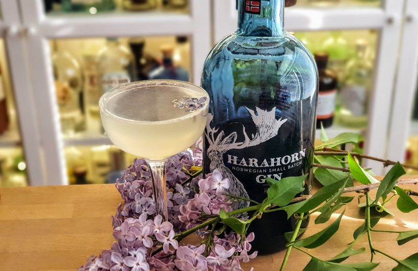 Syrin-drøm cocktail med Harahorn Gin