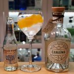 Gin og Tonic med Canaima Gin
