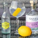 Gin og Tonic med Osmoz Citrus Gin