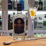 Dry Martini med Kimerud Navy Strength Gin