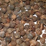 Kubebapepper ingrediens i gin