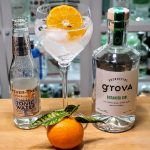 Gin Tonic med Brennvinsgrova Botanisk Gin