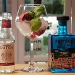 Potrofino Dry Gin med Double Dutch Pomegranate and Basil Mixer