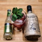 Forfriskende Gin og Tonic med Bathtub Sloe Gin