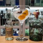 Gin Tonic med Lyng Norwegian Botanical Gin