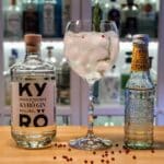Gin og Tonic med Kyrö Gin