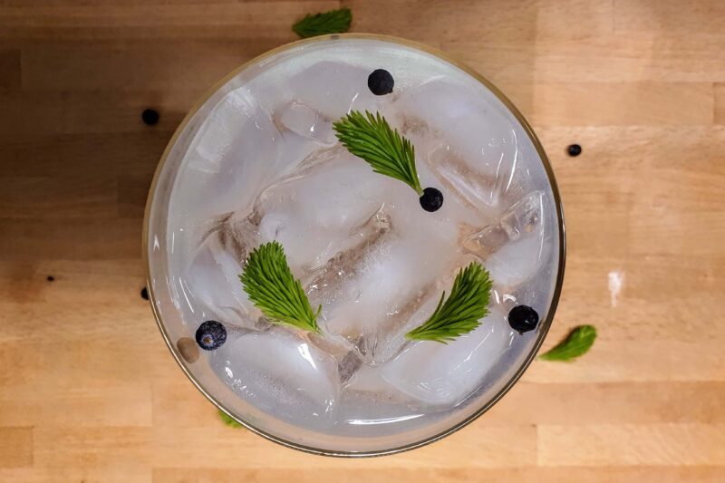 Granskudd GT med Herbarium New Forest Gin