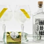 Gin og Tonic med Atlungstad Min Gin