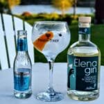 Gin og Tonic med Elena Gin London Dry