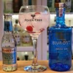 Sommerfrisk Gin og Tonic med Bivrost Gin