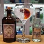 Gin og Tonic med Monkey 47