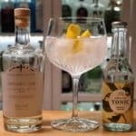 Gin Tonic med Bergslagens Organic Gin