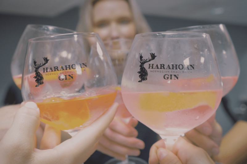 cocktailkurs med Alt om Gin