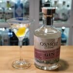 Dry Martini med Osmoz Citrus Gin