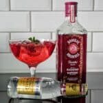 Gin og Tonic med Bombay Bramble Gin