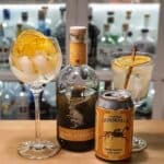 Gin Tonic med Harahorn Orange Dry Gin
