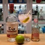 Rhubarb Gin & Tonic
