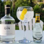 Gin og Tonic med All About Gin