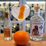 Gin og Tonic med Gindome Viking Dry Gin