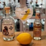 Gin Tonic med Gindome Viking Dry Gin