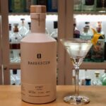Dry Martini med Bareksten Lyset Gin.