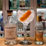 Gin og Tonic med VFMJK Gin