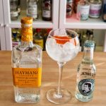 Gin og Tonic med Hayman's Exotic Citrus Gin