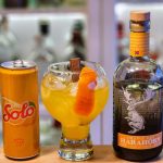 Harahorn Orange Dry Gin og Solo